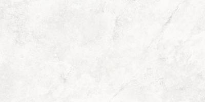 1d7c5eb7_e850_4d40_880d_3757f152affd_8abce1d6_ea30_11ef_b0ad_48df37e4f8cb.resize1