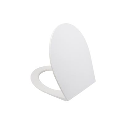 008PPSEi31_photo_3d_01