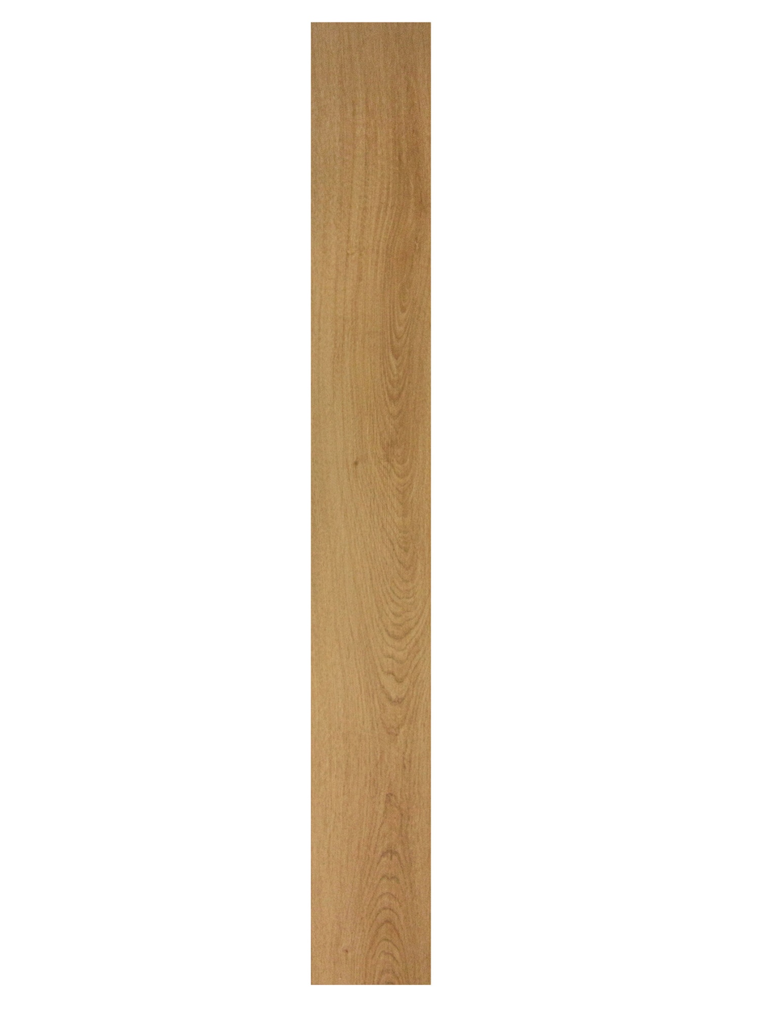 46493928.jpg