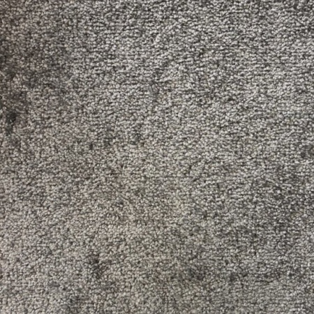 Покрытие ковровое AW Omnia 97, 4 м, 100% PP (серый)