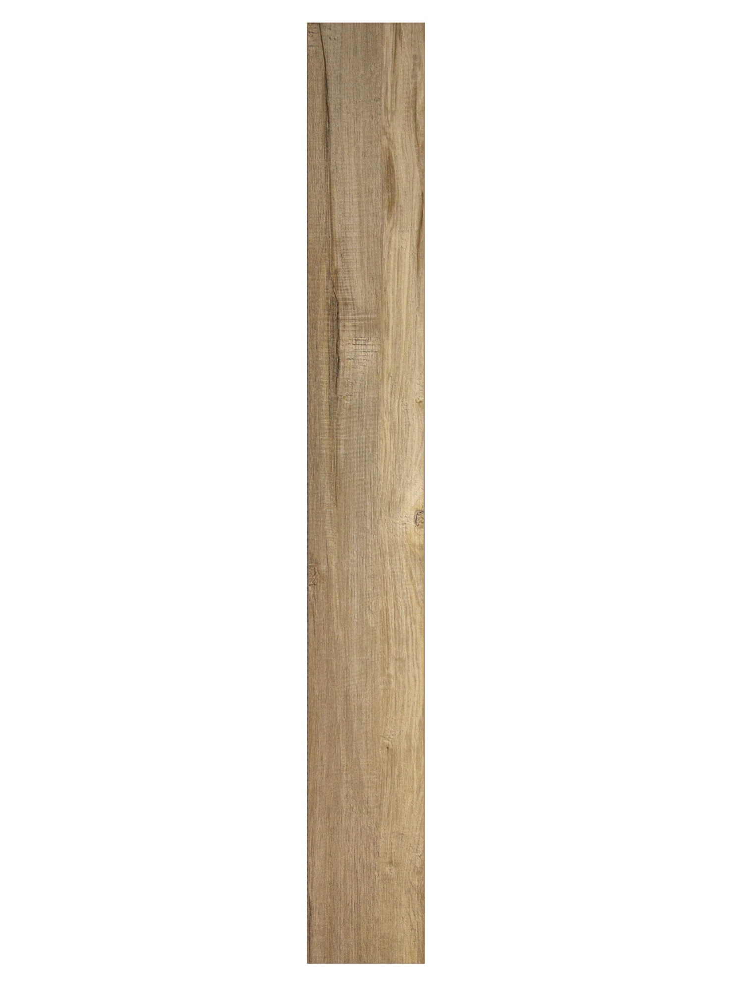 36740260.jpg