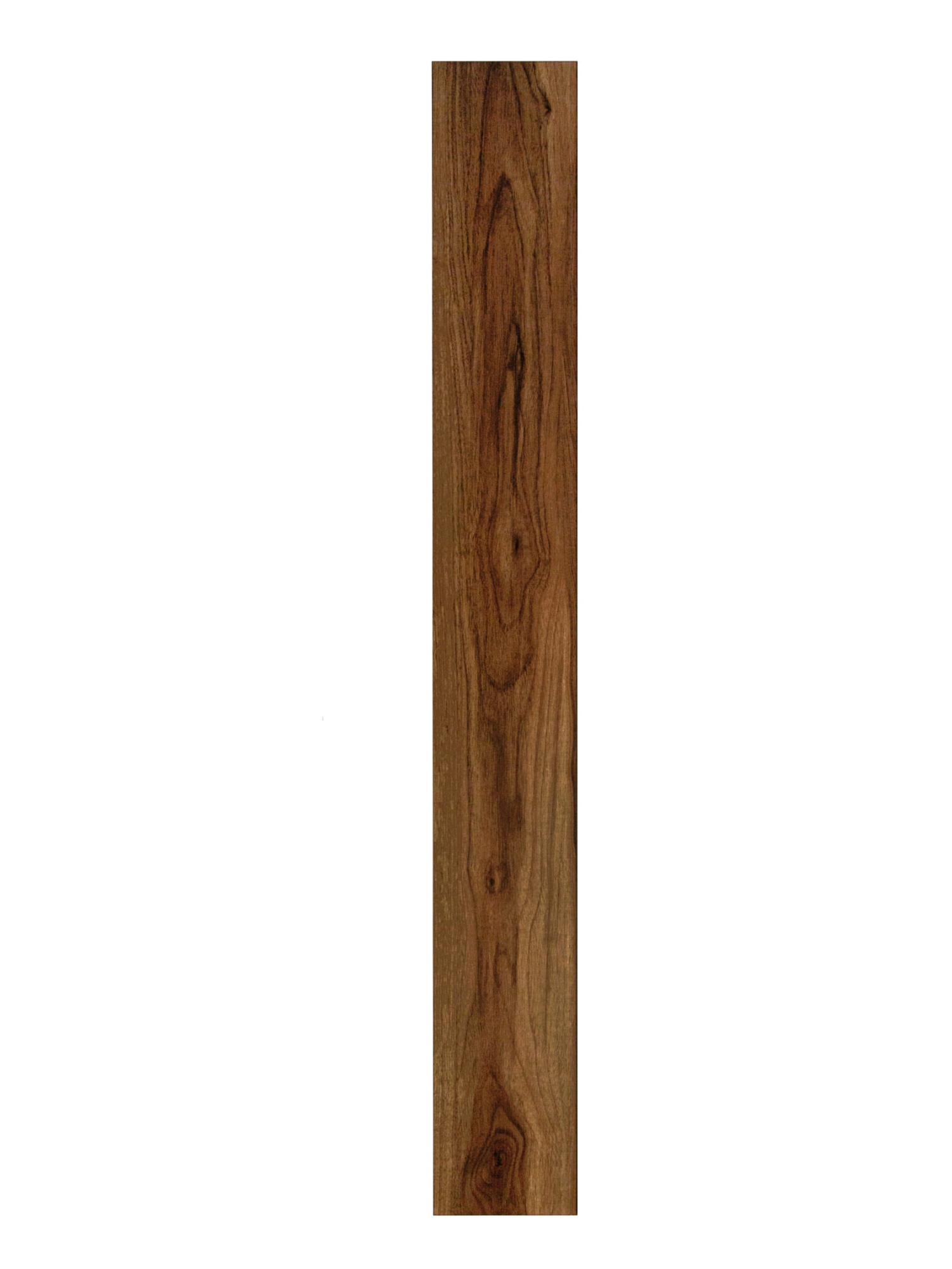 26961760.jpg