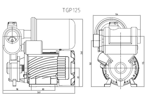 Насосная станция TGP125 макс. напор 35м расход 35 л/мин PUMPMAN